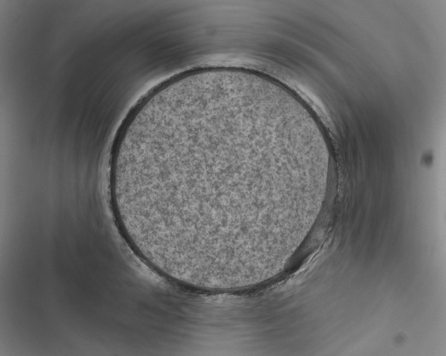 X0000116790992201001151058