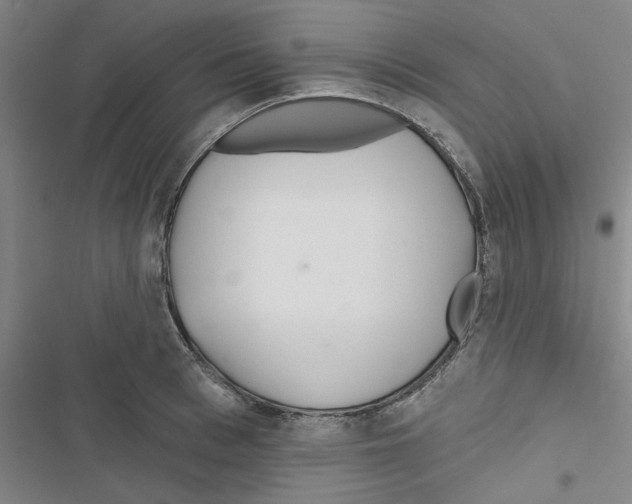 X0000116790993201001151058