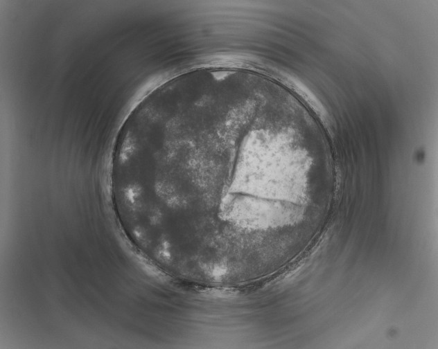 X0000116790994201001151058