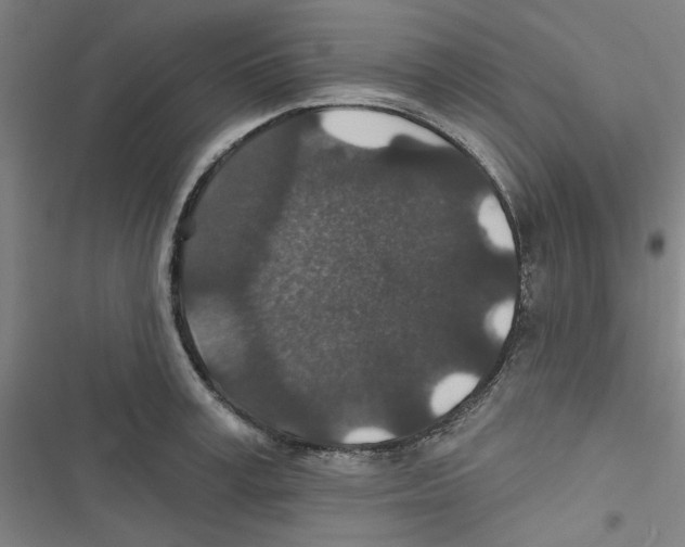 X0000116790995201001151058