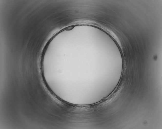 X0000116790997201001151058