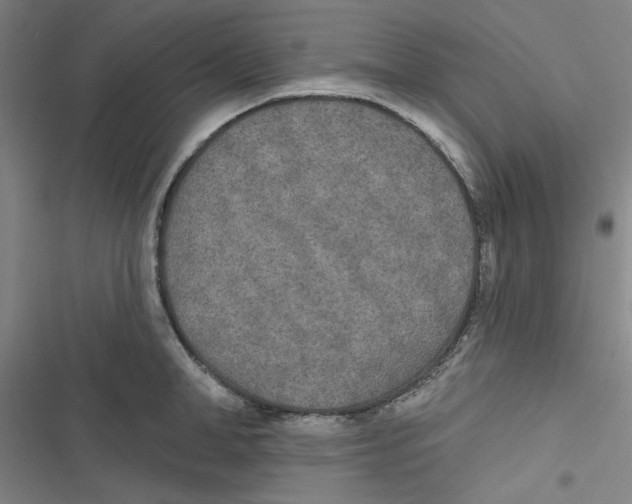 X0000116790998201001151058