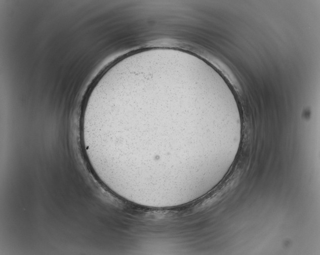 X0000116791000201001151058