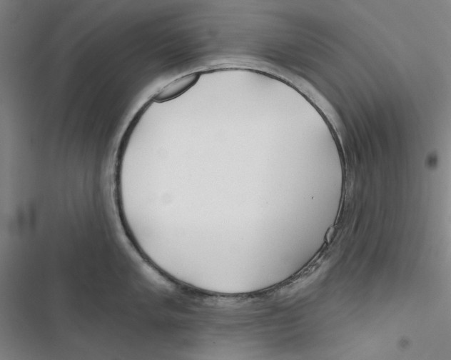 X0000116791005201001151058