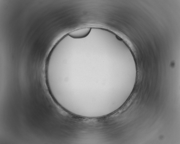 X0000116791006201001151058