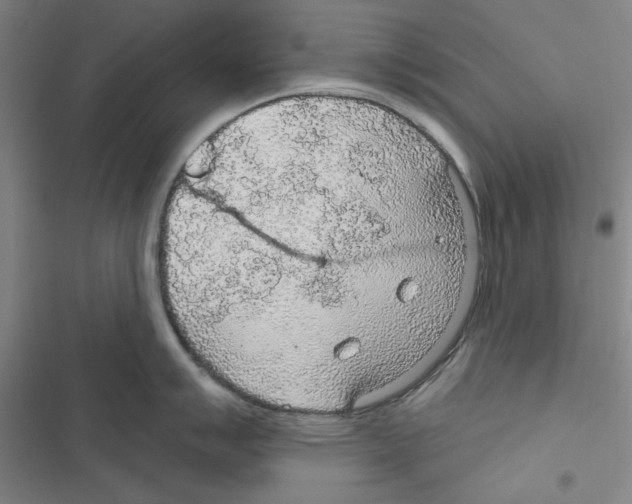 X0000116791007201001151057