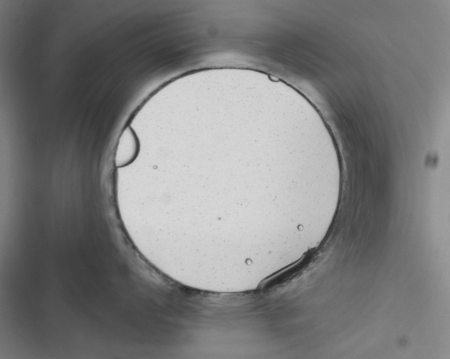 X0000116791008201001151057