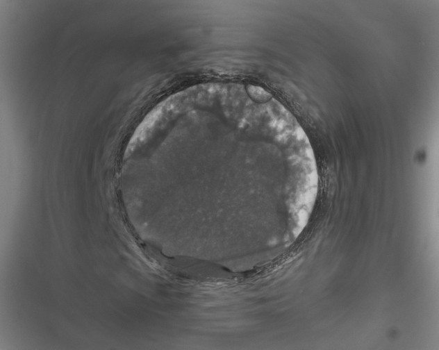 X0000116791009201001151057