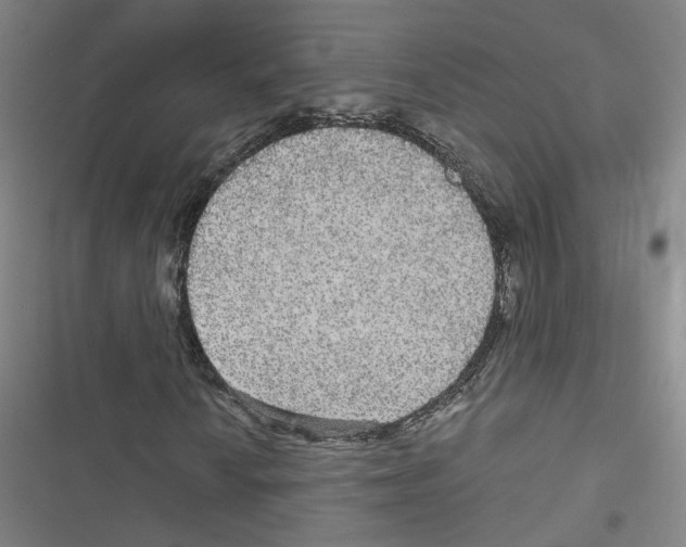 X0000116791010201001151057
