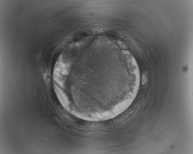 X0000116791011201001151057