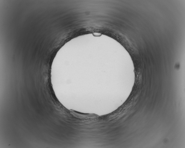 X0000116791012201001151057