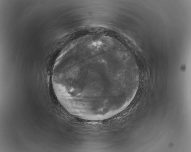 X0000116791013201001151057