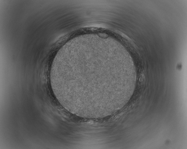 X0000116791014201001151057