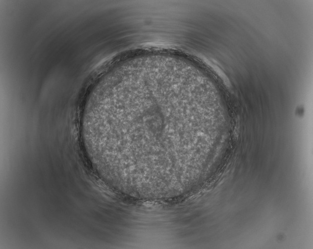 X0000116791015201001151057