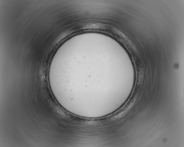 X0000116791017201001151057