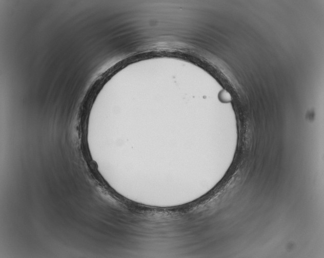 X0000116791018201001151057