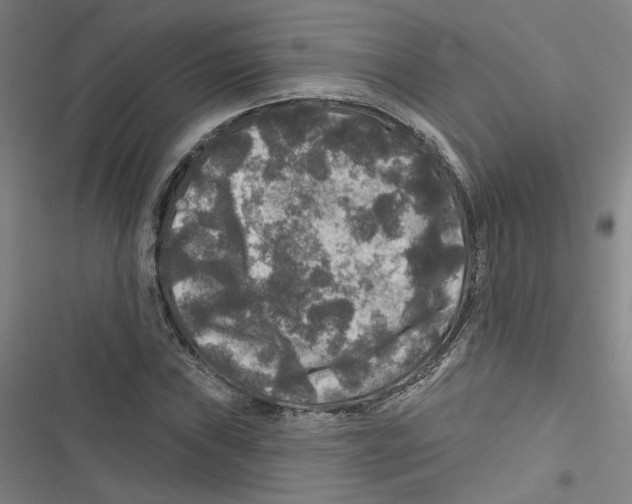 X0000116791019201001151057