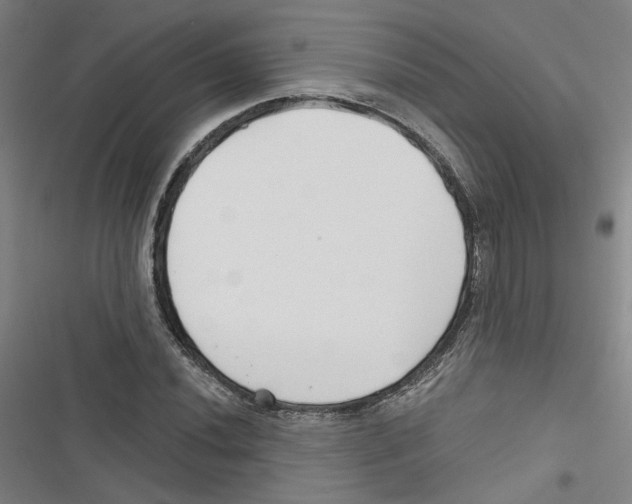 X0000116791020201001151057