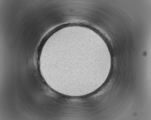 X0000116791021201001151057