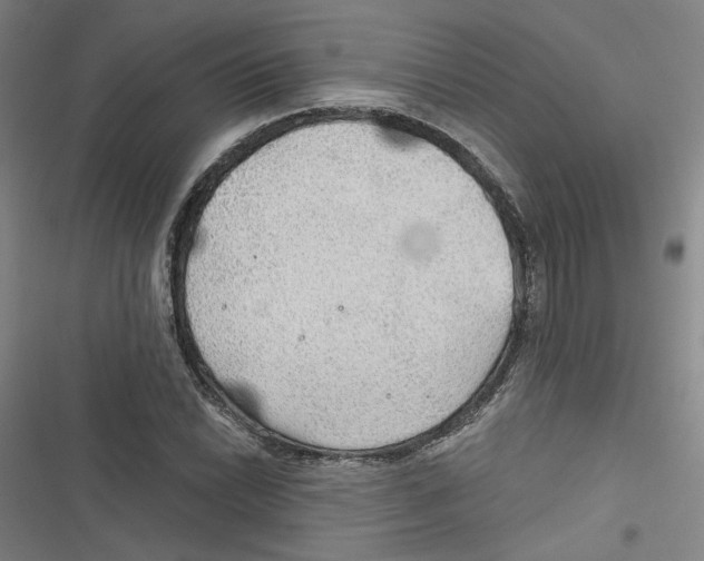 X0000116791022201001151057