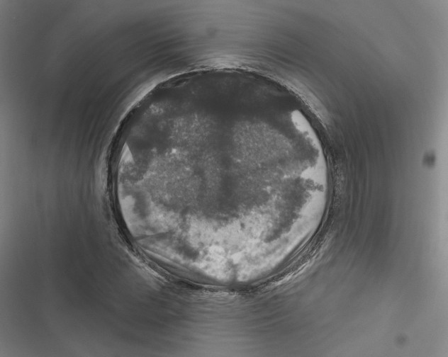 X0000116791023201001151057