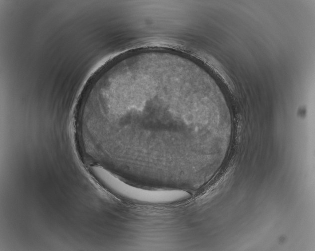 X0000116791024201001151057