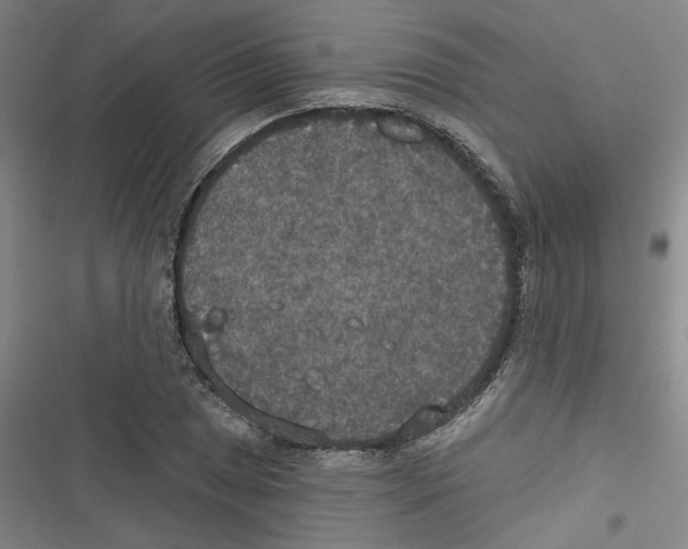 X0000116791025201001151057