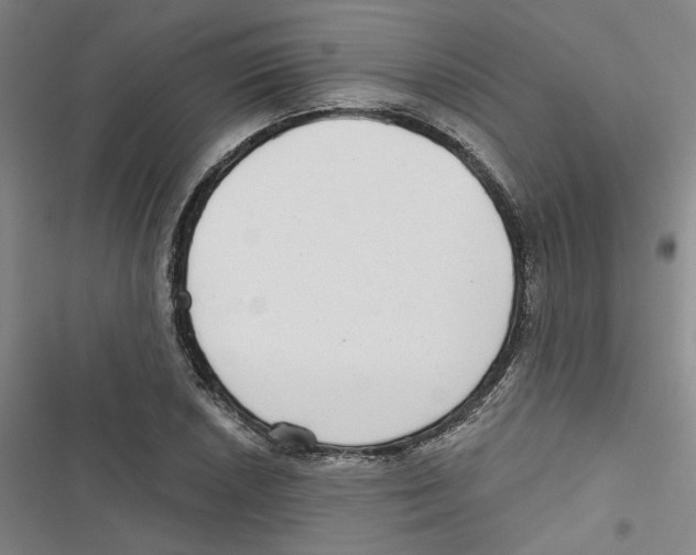 X0000116791026201001151057