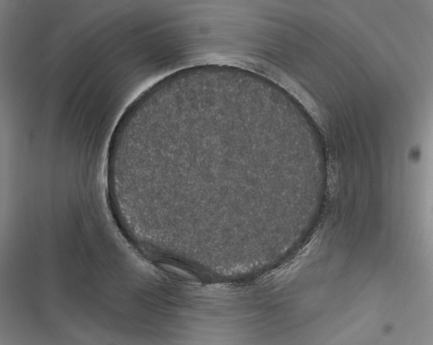 X0000116791028201001151057