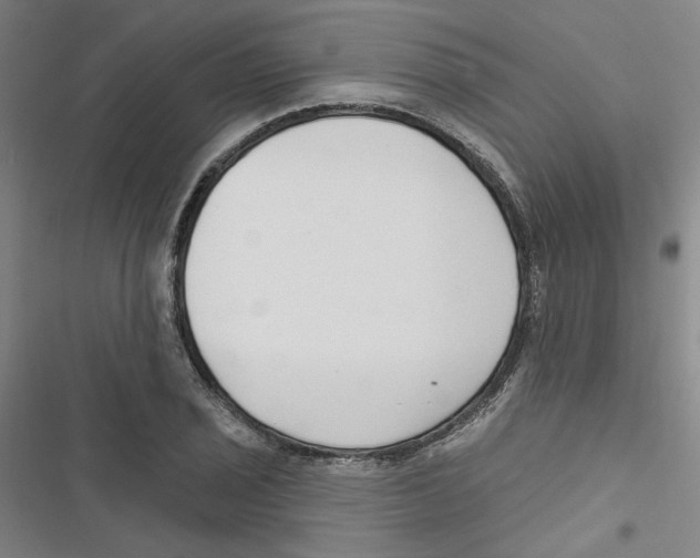 X0000116791029201001151057