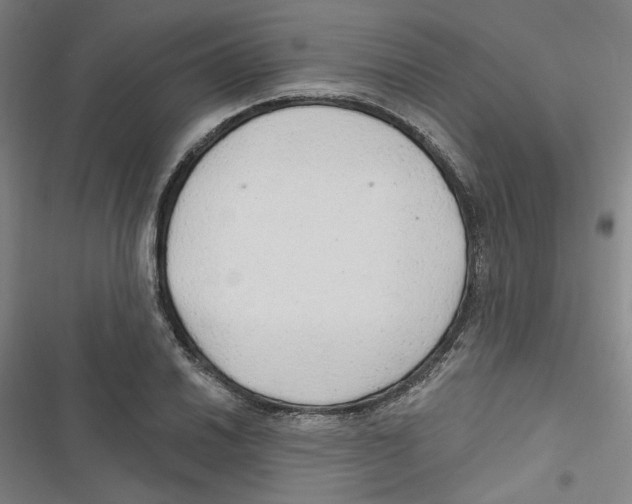 X0000116791030201001151057