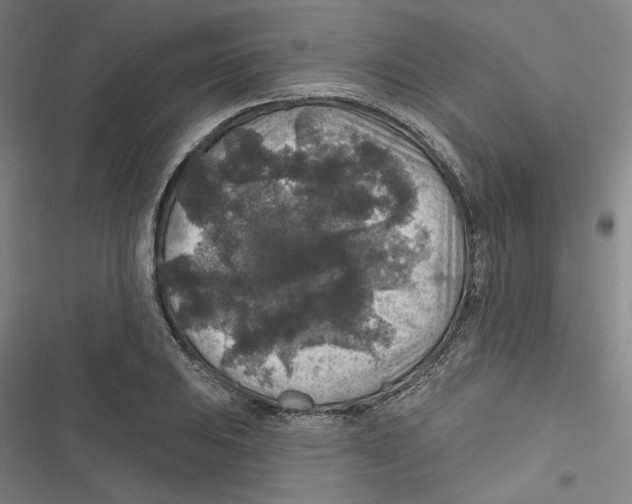 X0000116791031201001151057