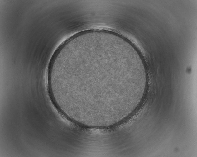 X0000116791032201001151057