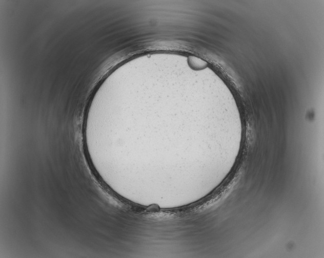 X0000116791033201001151057