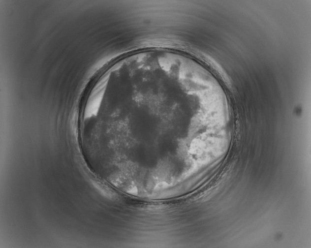 X0000116791035201001151057