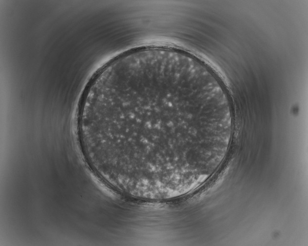 X0000116791037201001151057