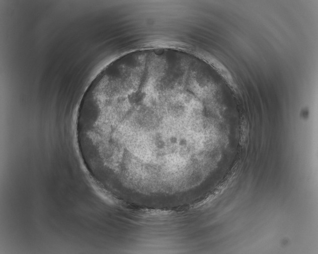 X0000116791039201001151057