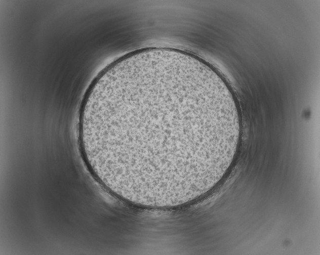 X0000116791040201001151057
