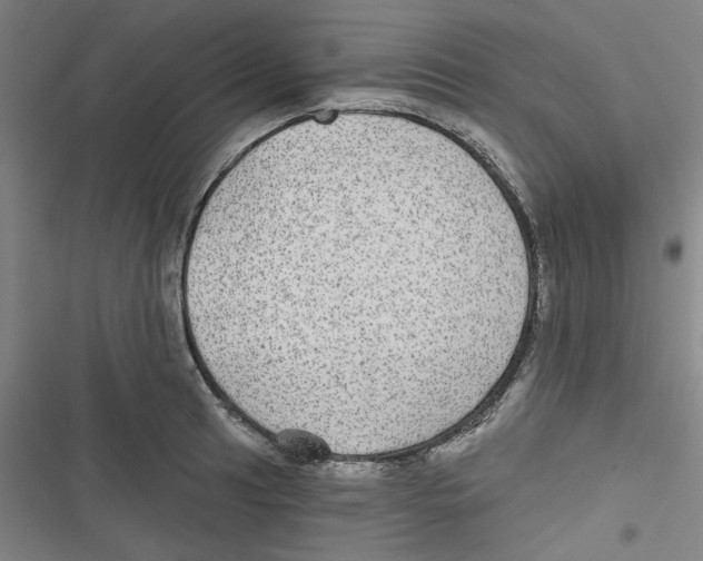 X0000116791041201001151057