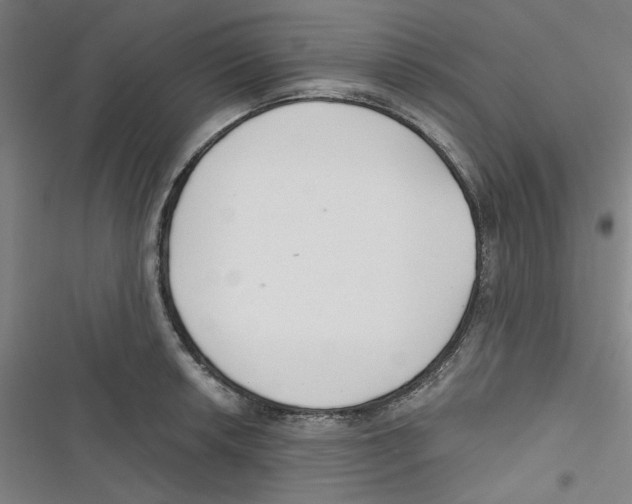 X0000116791042201001151057