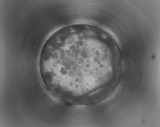 X0000116791043201001151057