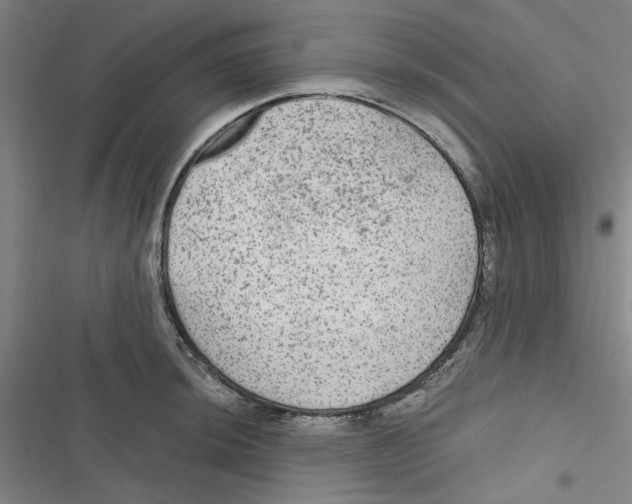 X0000116791044201001151057