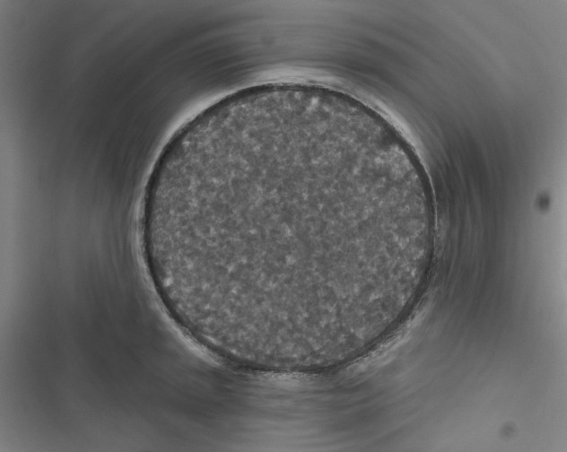 X0000116791045201001151057