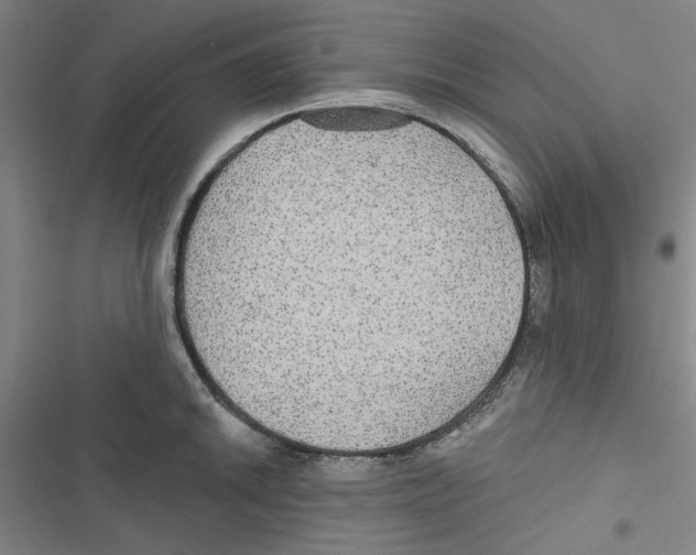 X0000116791046201001151057
