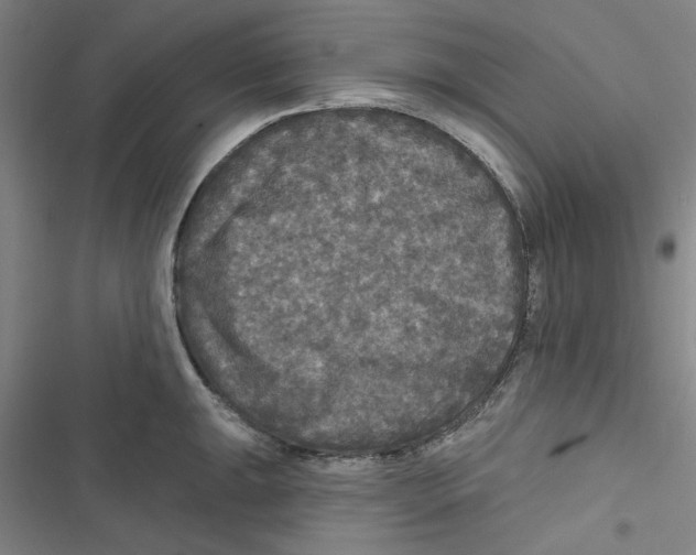 X0000116791047201001151057