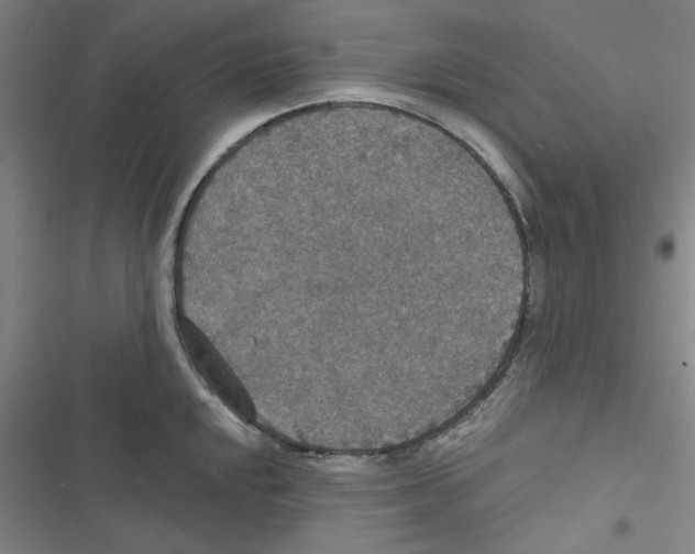 X0000116791048201001151057