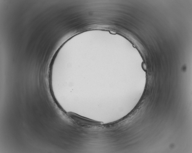 X0000116791050201001151057
