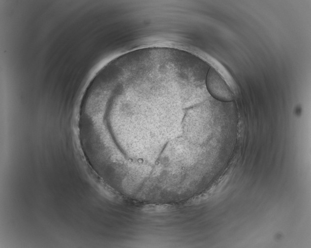 X0000116791051201001151057