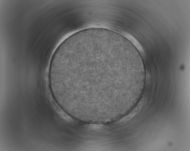 X0000116791052201001151057