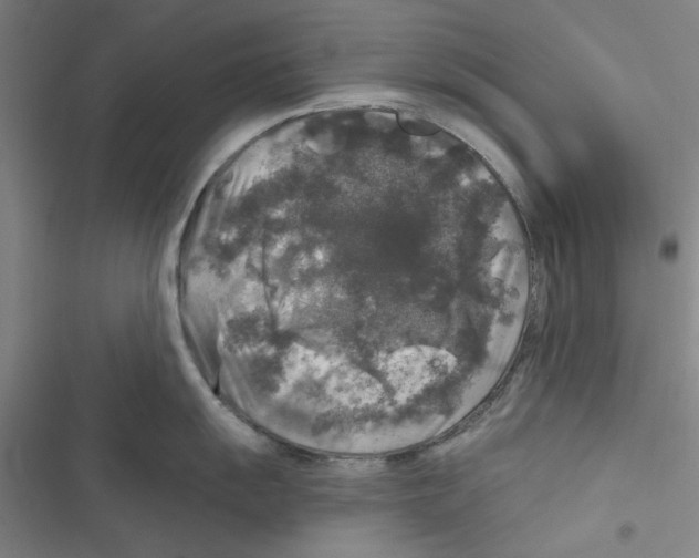 X0000116791055201001151057